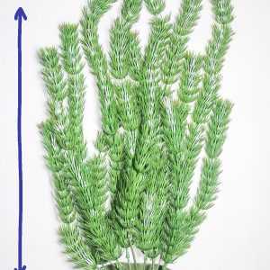 TLS Yapay Akvaryum Bitkisi Dekoru 5011 45 cm