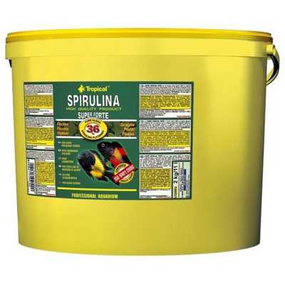 Tropical Spirulina Super Forte 100 gr Pul Yem (Kovadan Bölme)