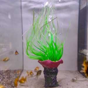 TLS SH596 Akvaryum Aksesuarı Hava Taşlı Silikon 33 Cm