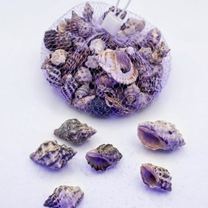 MİNİ DENİZ KABUKLARI  135 GR