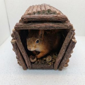 YUVA. HAMSTER.KUŞ. SİNCAP YUVASI